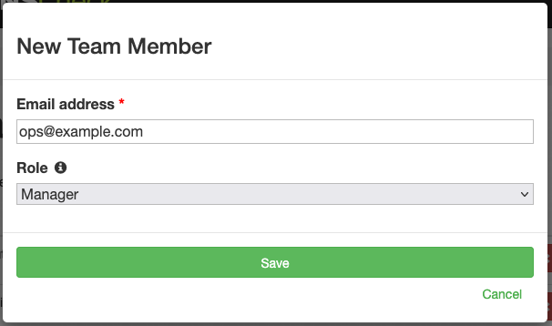 Screenshot of the Add Team Member form with fields for email address and role selection